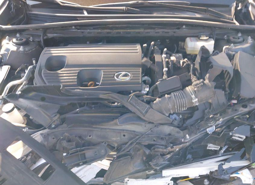 Photo 10 of 2023 Lexus Es 300H LUXURY (VIN 58AEA1C14PU027979)