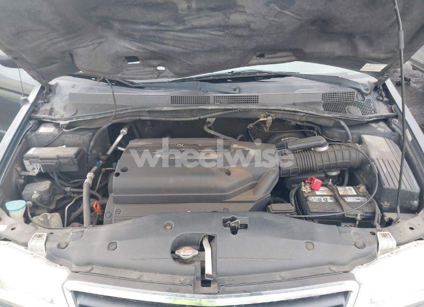 Photo 10 of 2003 Honda Odyssey EX-L (VIN 5FNRL18003B123117)