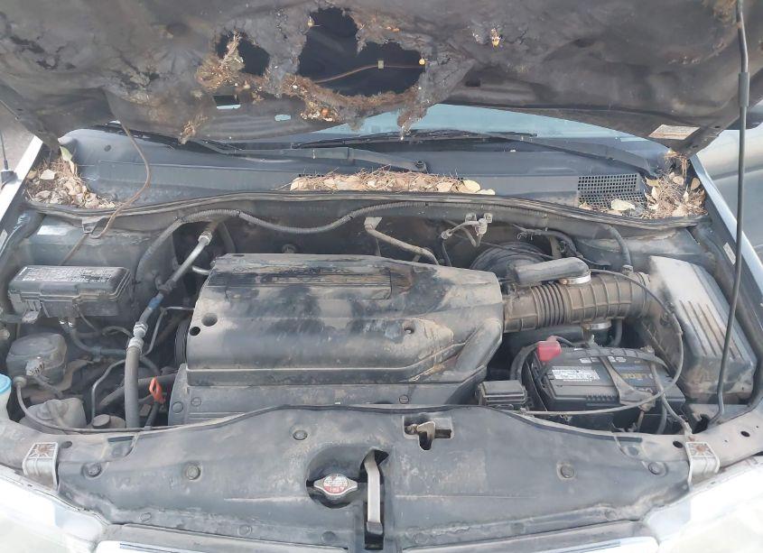 Photo 10 of 2003 Honda Odyssey EX-L (VIN 5FNRL18003B152696)