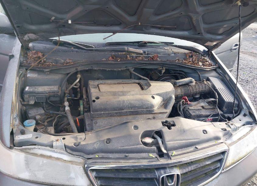 Photo 10 of 2002 Honda Odyssey EX-L (VIN 5FNRL18012B036891)