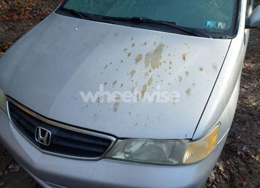 Photo 14 of 2002 Honda Odyssey EX-L (VIN 5FNRL18012B045297)