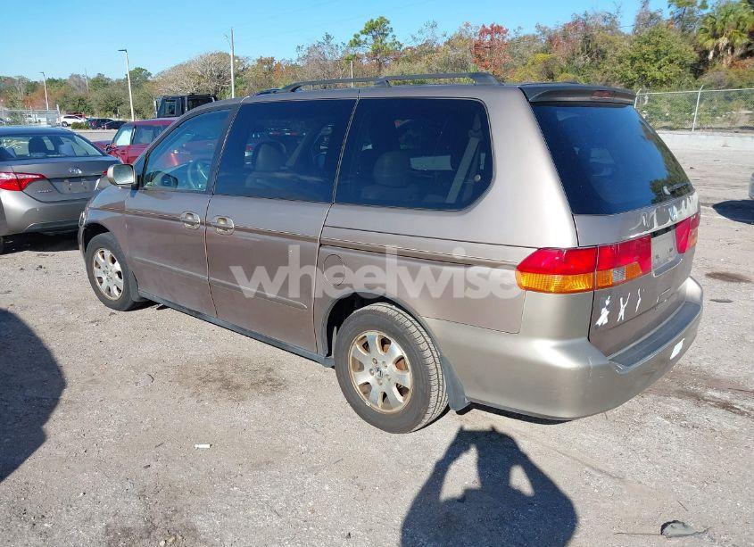 Photo 3 of 2003 Honda Odyssey EX-L (VIN 5FNRL18013B145935)