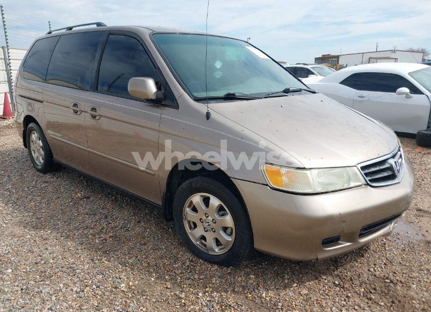 2003 Honda Odyssey EX-L (VIN 5FNRL18013B154652) main photo