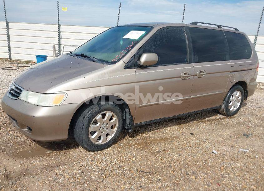 Photo 2 of 2003 Honda Odyssey EX-L (VIN 5FNRL18013B154652)