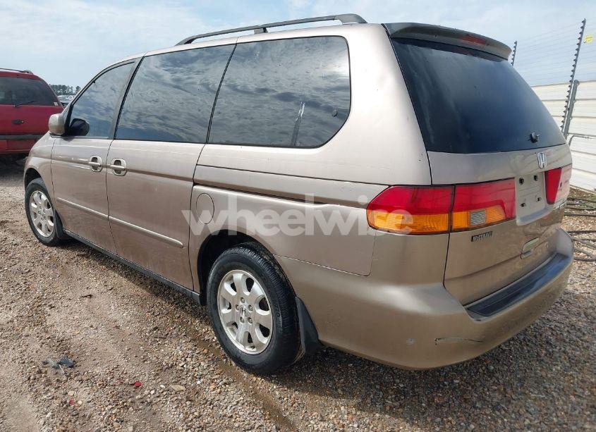 Photo 3 of 2003 Honda Odyssey EX-L (VIN 5FNRL18013B154652)