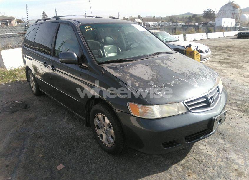 2003 Honda Odyssey EX-L (VIN 5FNRL18023B074499) main photo