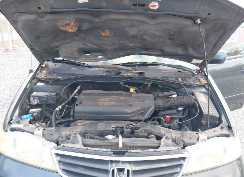 Photo 10 of 2003 Honda Odyssey EX-L (VIN 5FNRL18033B056884)