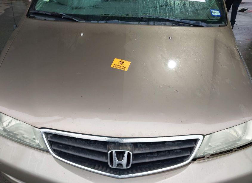 Photo 10 of 2004 Honda Odyssey EX-L (VIN 5FNRL18034B064369)