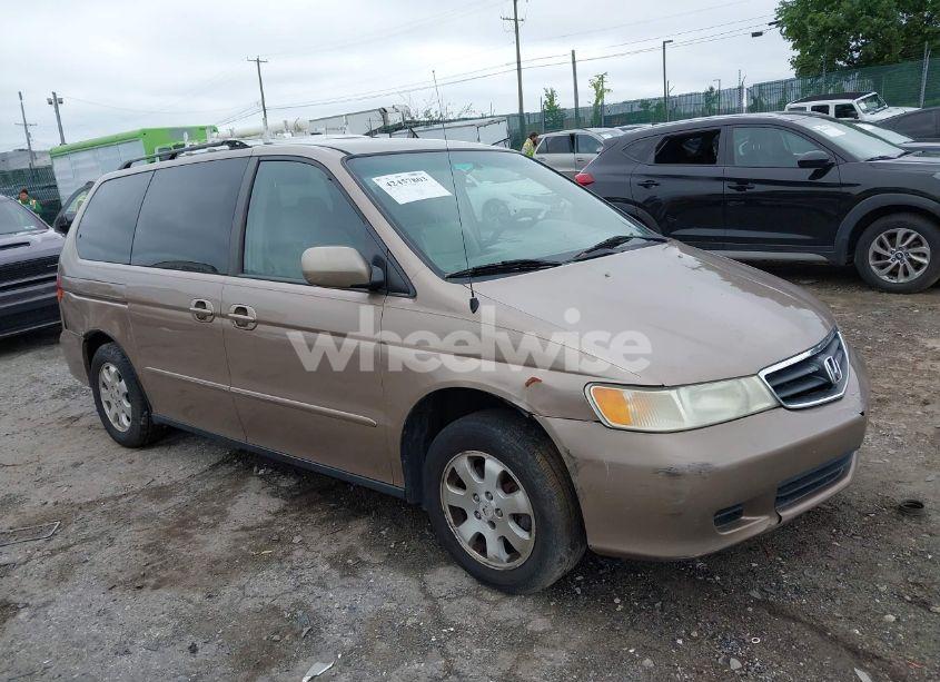 2004 Honda Odyssey EX-L (VIN 5FNRL18034B073699) main photo