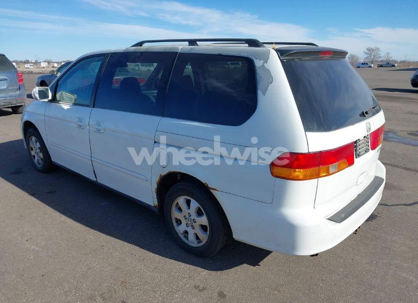 Photo 3 of 2003 Honda Odyssey EX-L (VIN 5FNRL18043B048244)