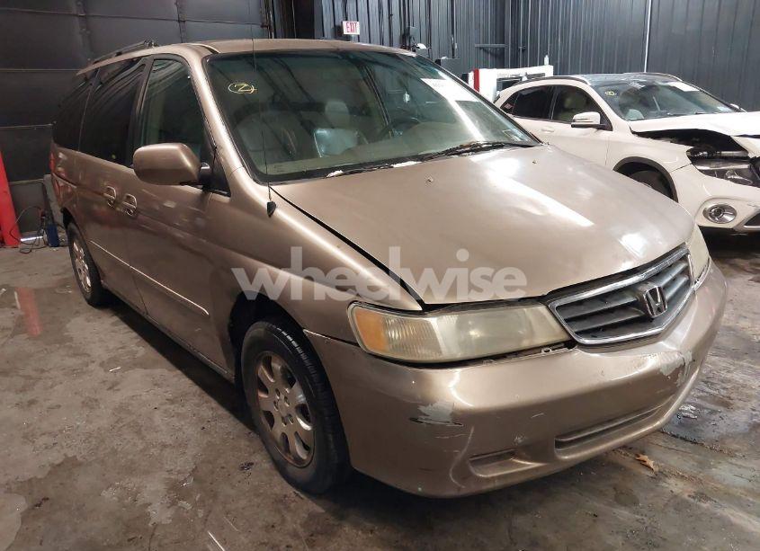 2004 Honda Odyssey EX-L (VIN 5FNRL18054B018493) main photo