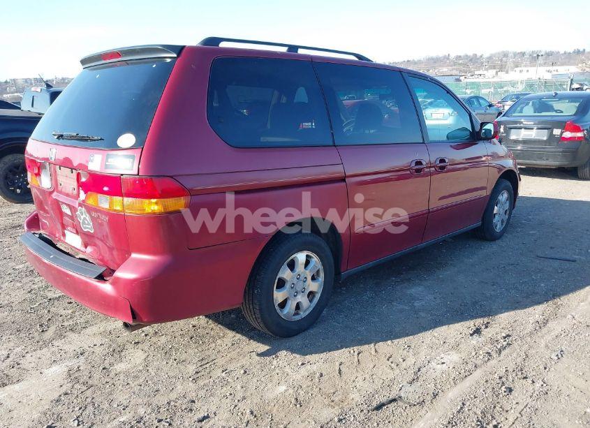 Photo 4 of 2004 Honda Odyssey EX-L (VIN 5FNRL18074B109040)