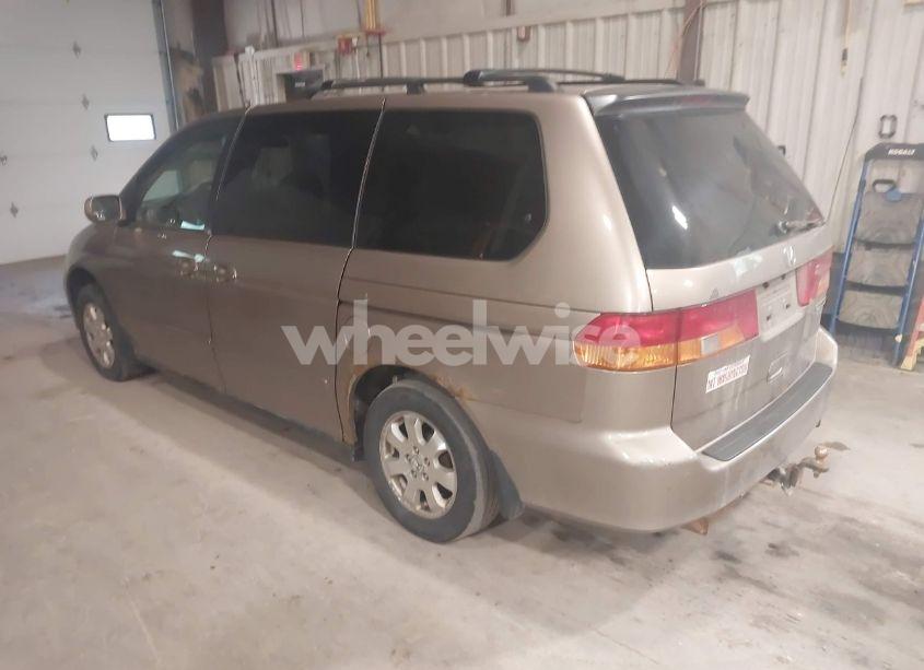 Photo 3 of 2003 Honda Odyssey EX-L (VIN 5FNRL18083B005798)