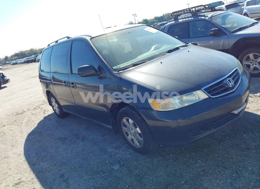 2003 Honda Odyssey EX-L (VIN 5FNRL18093B077559) main photo