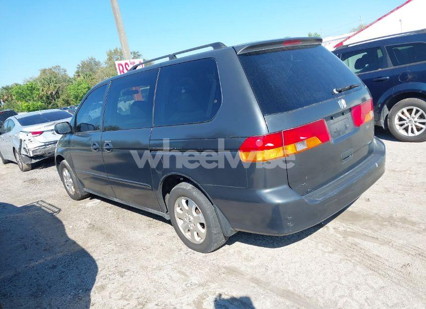 Photo 3 of 2003 Honda Odyssey EX-L (VIN 5FNRL18093B077559)