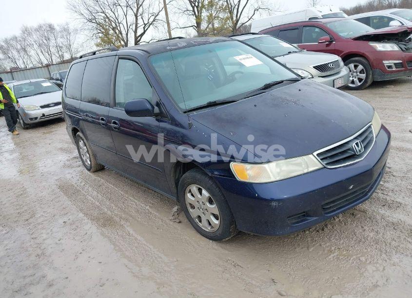 2004 Honda Odyssey EX (VIN 5FNRL18604B006577) main photo