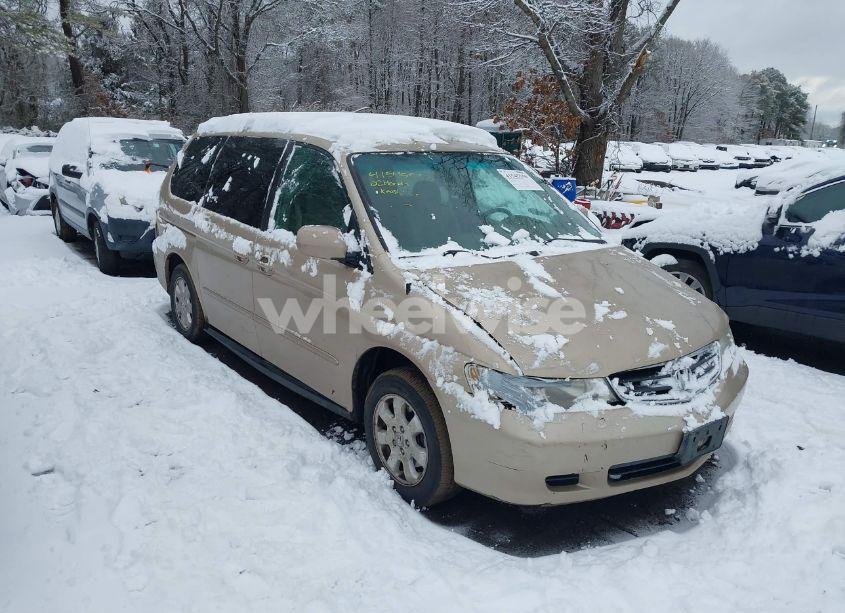 2002 Honda Odyssey EX (VIN 5FNRL18632B022236) main photo