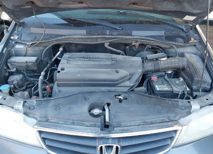 Photo 10 of 2004 Honda Odyssey EX (VIN 5FNRL18664B054732)