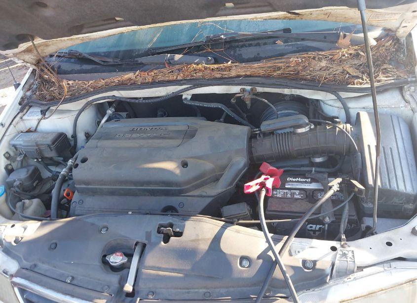 Photo 10 of 2004 Honda Odyssey EX (VIN 5FNRL18674B115389)