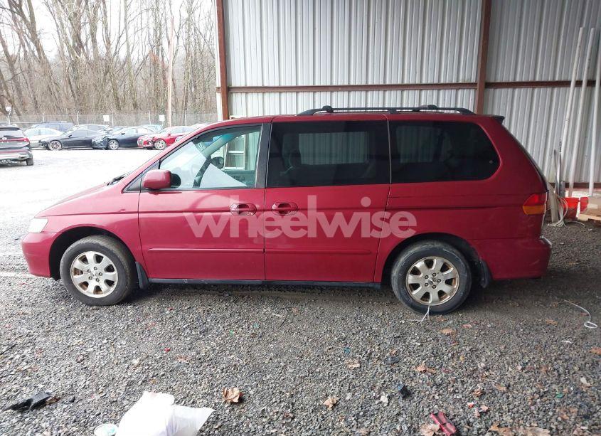 Photo 14 of 2003 Honda Odyssey EX (VIN 5FNRL186X3B022980)