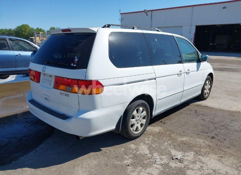Photo 4 of 2004 Honda Odyssey EX-L (VIN 5FNRL18704B120975)