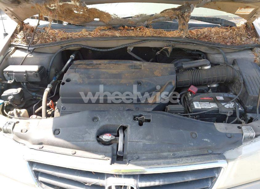 Photo 10 of 2003 Honda Odyssey EX-L (VIN 5FNRL18743B141617)