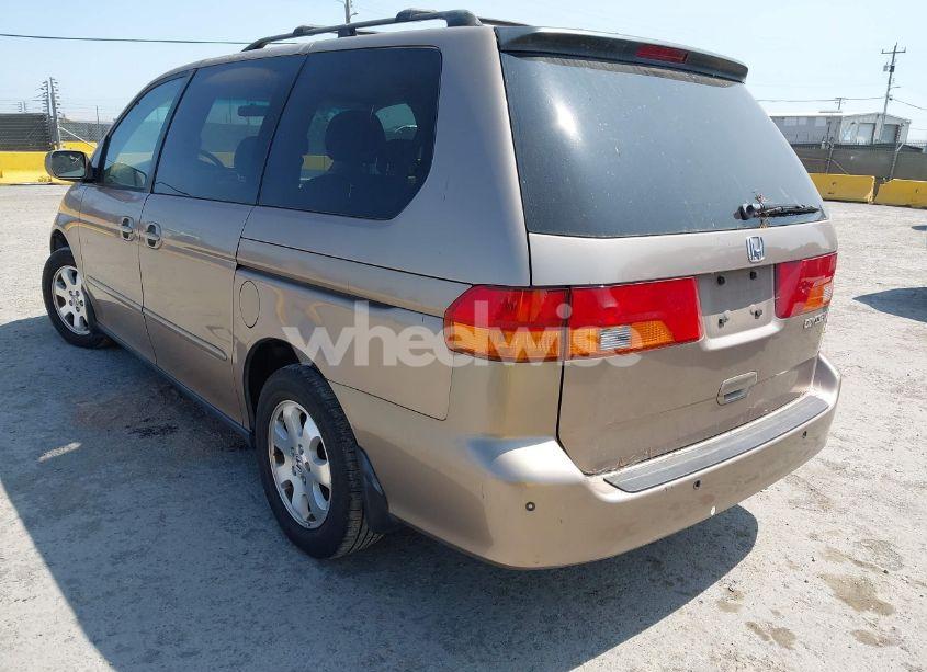 Photo 3 of 2003 Honda Odyssey EX-L (VIN 5FNRL18743B141617)