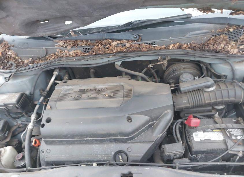 Photo 10 of 2003 Honda Odyssey EX-L (VIN 5FNRL18773B057310)