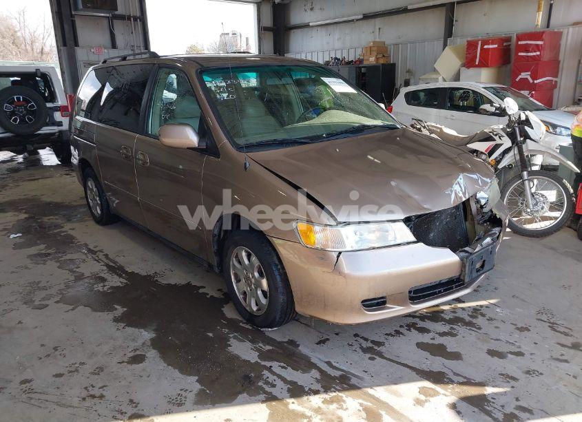 2004 Honda Odyssey EX-L (VIN 5FNRL18794B074711) main photo