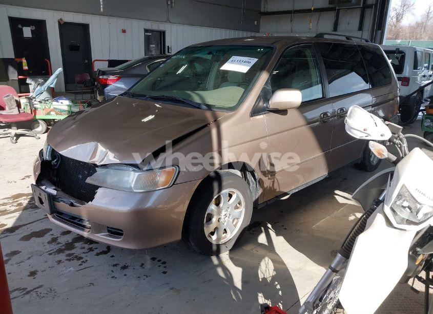 Photo 2 of 2004 Honda Odyssey EX-L (VIN 5FNRL18794B074711)