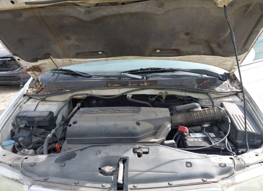 Photo 10 of 2004 Honda Odyssey EX (VIN 5FNRL18844B099007)