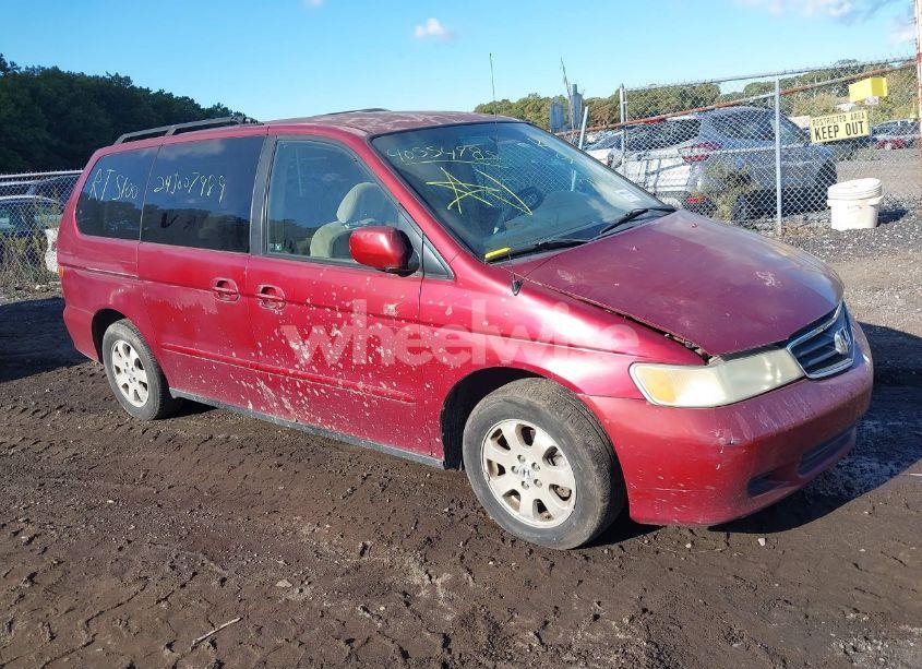2004 Honda Odyssey EX (VIN 5FNRL18874B087921) main photo