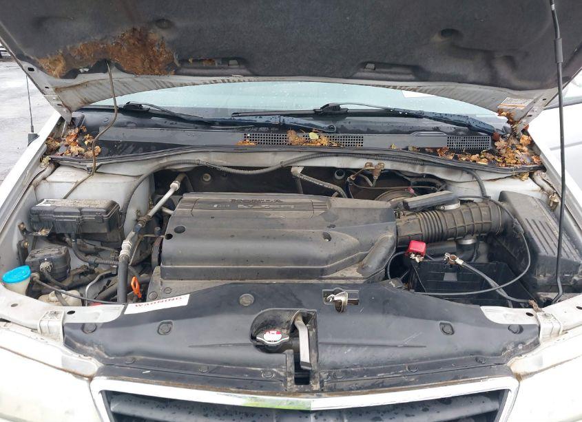 Photo 10 of 2004 Honda Odyssey EX-RES (VIN 5FNRL18894B122555)