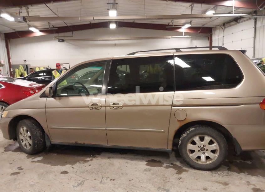 Photo 14 of 2003 Honda Odyssey EX-L (VIN 5FNRL18923B002720)