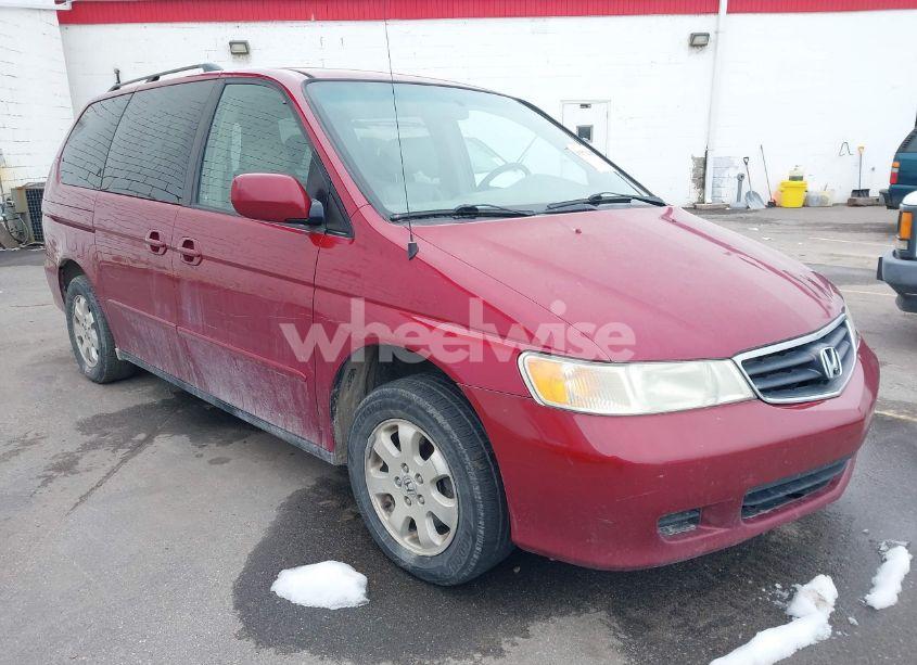 2004 Honda Odyssey EX-L (VIN 5FNRL18924B009202) main photo