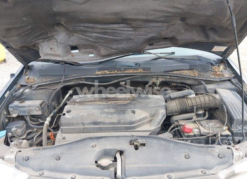 Photo 10 of 2003 Honda Odyssey EX-L (VIN 5FNRL18933B062506)