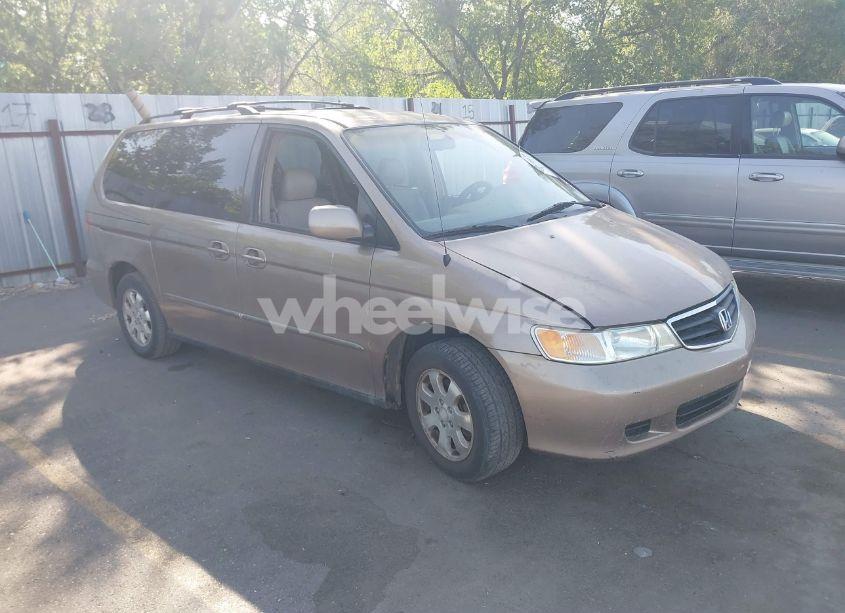 2003 Honda Odyssey EX-L (VIN 5FNRL18953B060739) main photo