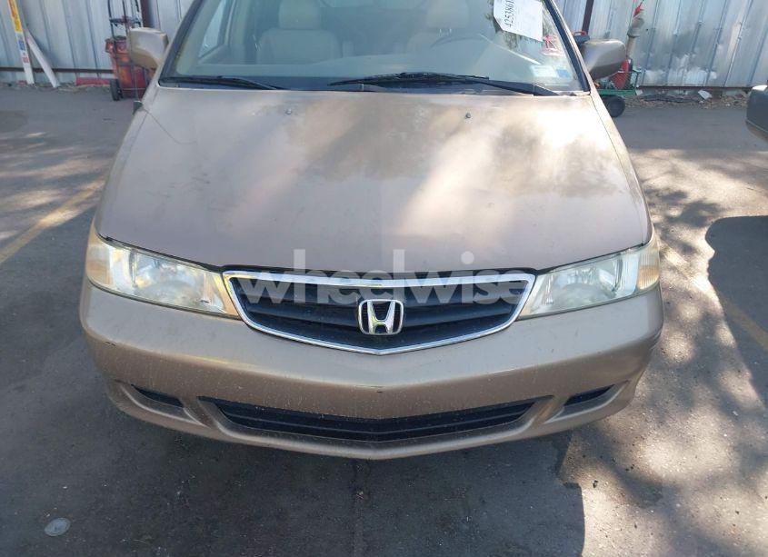 Photo 6 of 2003 Honda Odyssey EX-L (VIN 5FNRL18953B060739)