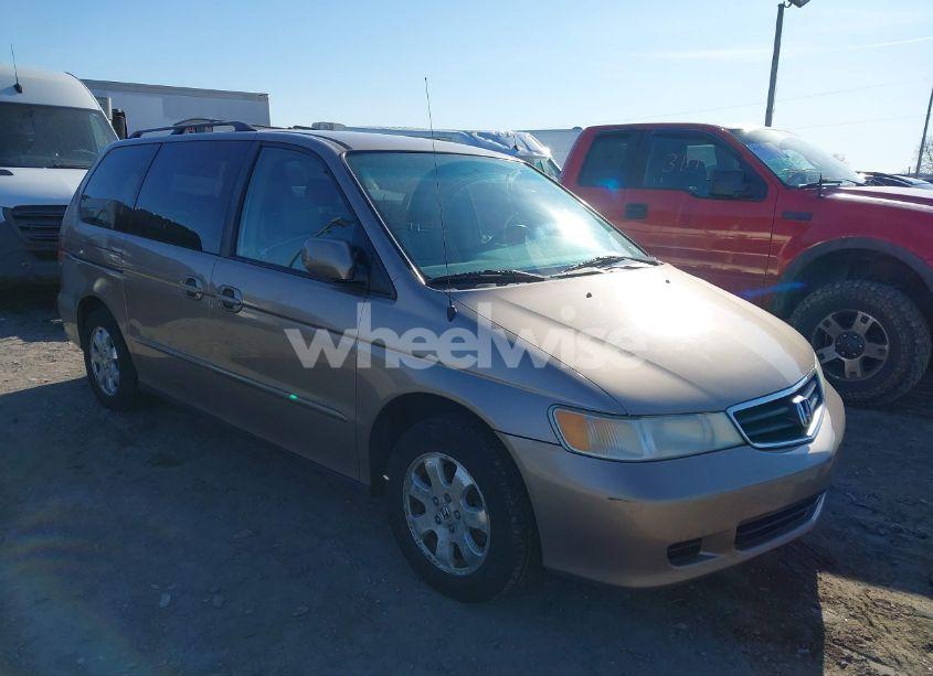 2004 Honda Odyssey EX-L (VIN 5FNRL18954B051346) main photo