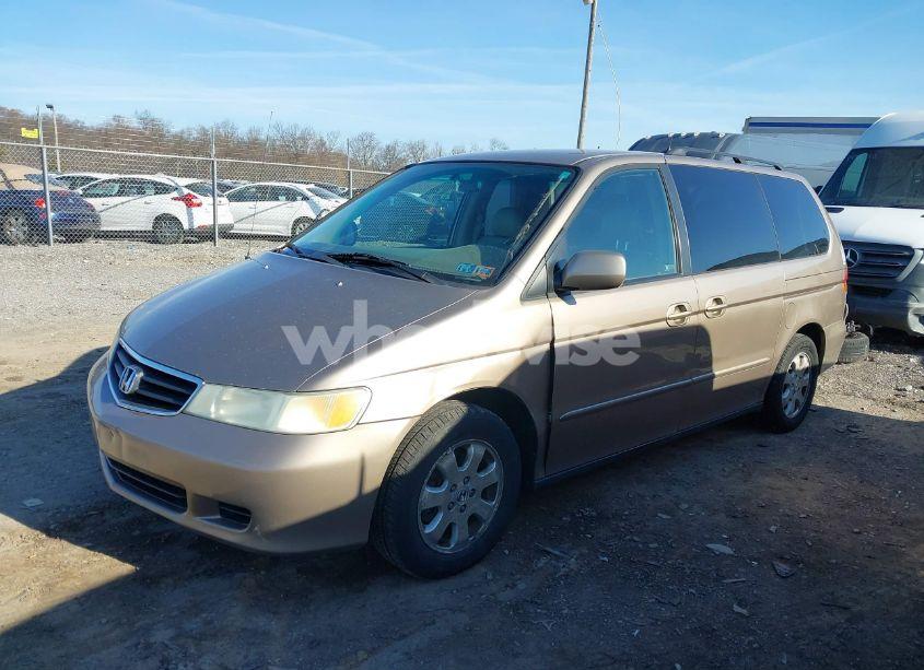 Photo 2 of 2004 Honda Odyssey EX-L (VIN 5FNRL18954B051346)