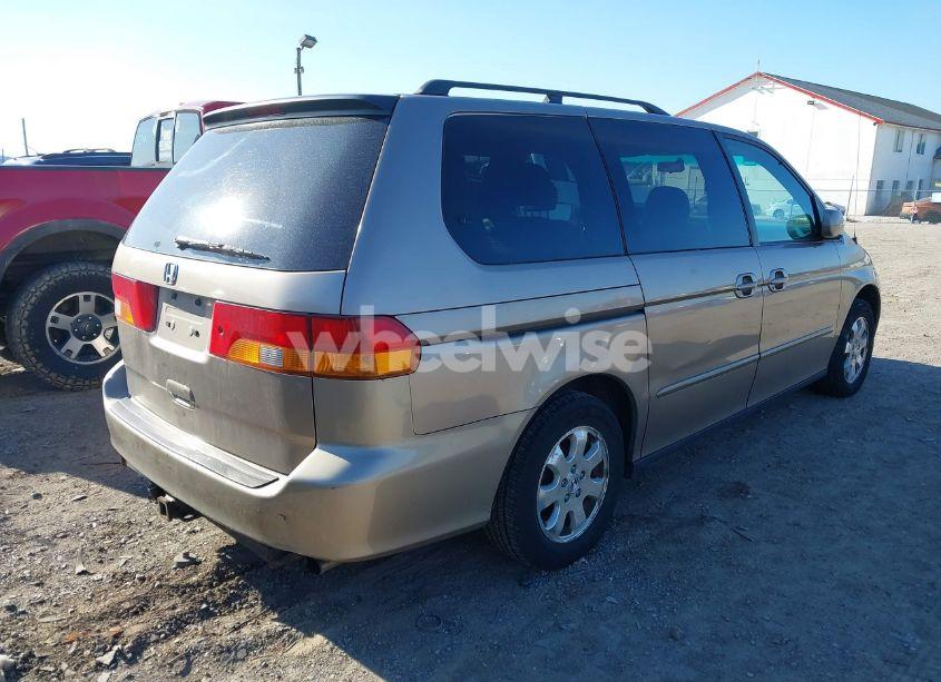 Photo 4 of 2004 Honda Odyssey EX-L (VIN 5FNRL18954B051346)