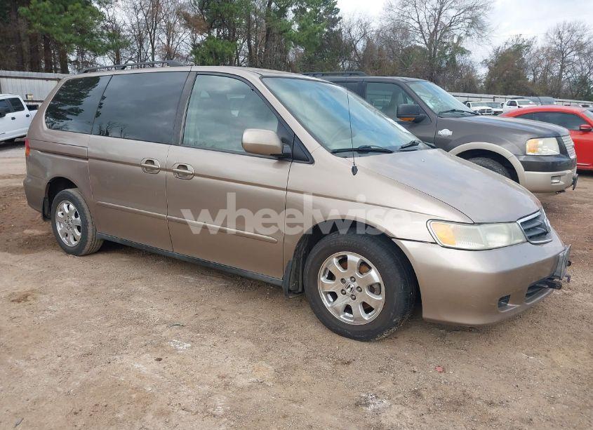 2003 Honda Odyssey EX-L (VIN 5FNRL18963B008696) main photo