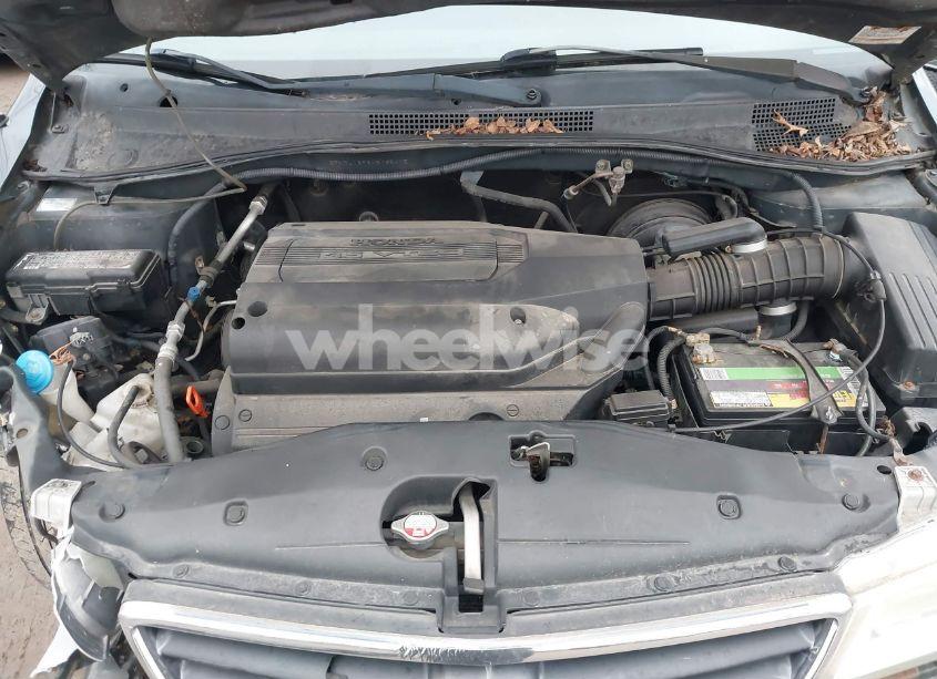 Photo 10 of 2004 Honda Odyssey EX-L (VIN 5FNRL18964B035415)