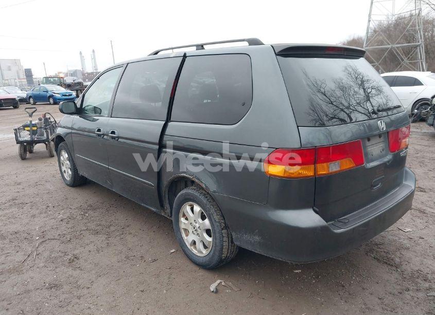 Photo 3 of 2004 Honda Odyssey EX-L (VIN 5FNRL18964B035415)