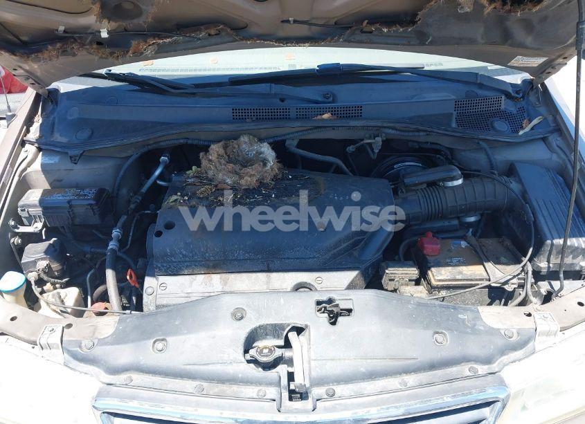 Photo 10 of 2003 Honda Odyssey EX-L (VIN 5FNRL18973B086033)