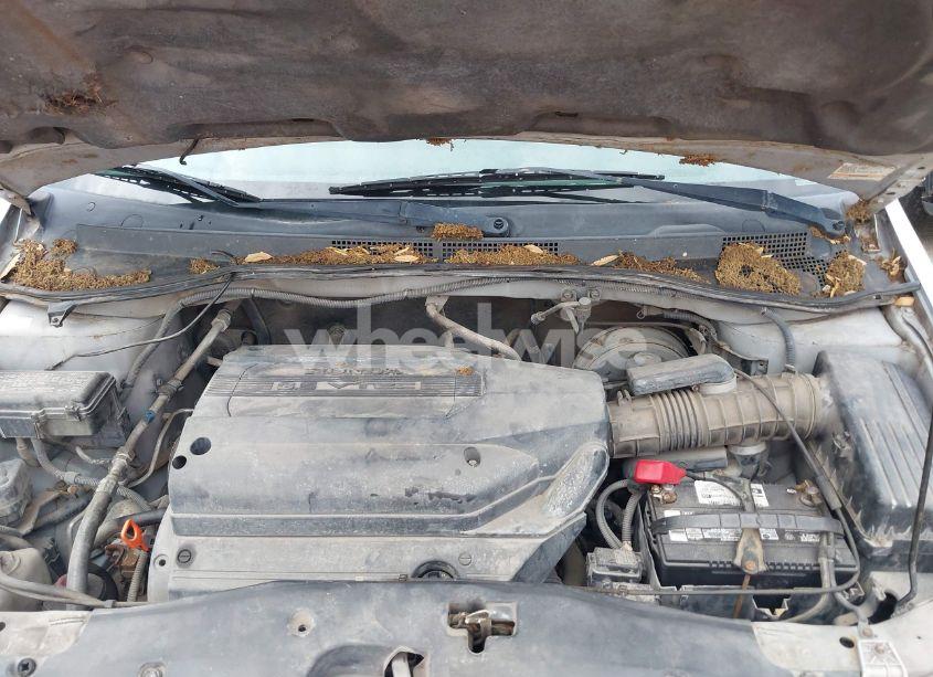 Photo 10 of 2002 Honda Odyssey EX-L (VIN 5FNRL18982B041021)