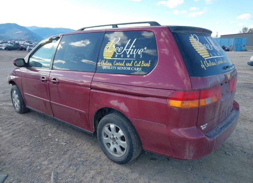 Photo 3 of 2002 Honda Odyssey EX-L (VIN 5FNRL18982B049989)