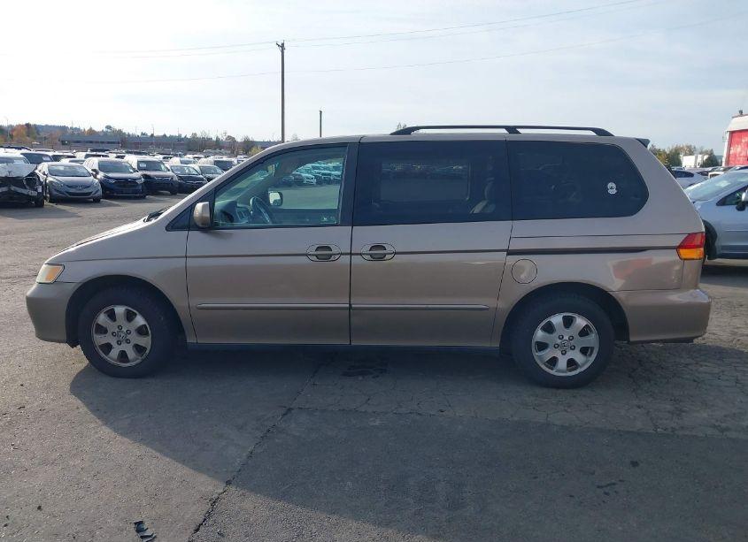 Photo 14 of 2004 Honda Odyssey EX-L (VIN 5FNRL18984B043838)