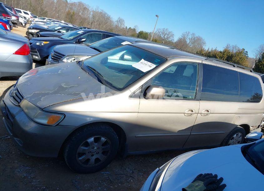 Photo 14 of 2003 Honda Odyssey EX-L (VIN 5FNRL18993B011608)