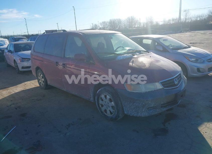 2003 Honda Odyssey EX-L (VIN 5FNRL18993B037514) main photo